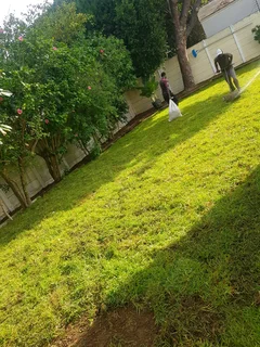 We supply kikuyu grass buffalo grass Lm berea grass and cynodon grass