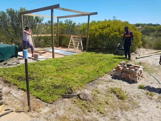 We Supply Kikuyu Grass Buffalo Grass Lm Berea Grass And Cynodon