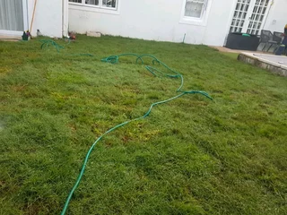 WE SUPPLY KIKUYU GRASS BUFFALO GRASS LM BEREA GRASS AND CYNODON