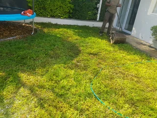 We supply kikuyu grass buffalo grass Lm berea grass and cynodon grass