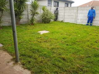 We supply kikuyu grass buffalo grass Lm berea grass and cynodon grass