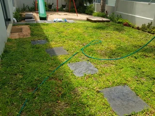 WE SUPPLY KIKUYU GRASS BUFFALO GRASS LM BEREA GRASS AND CYNODON GRASS