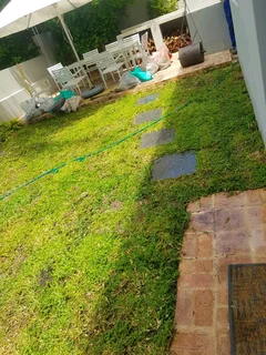 WE SUPPLY KIKUYU GRASS BUFFALO GRASS LM BEREA GRASS AND CYNODON GRASS