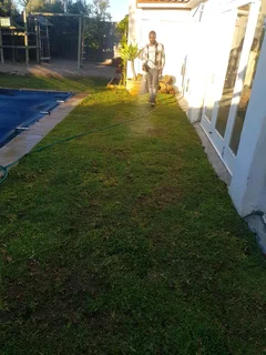 WE SUPPLY KIKUYU GRASS BUFFALO GRASS LM BEREA GRASS AND CYNODON