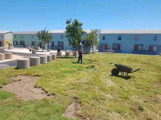 WE SUPPLY KIKUYU GRASS BUFFALO GRASS LM BEREA GRASS AND CYNODON