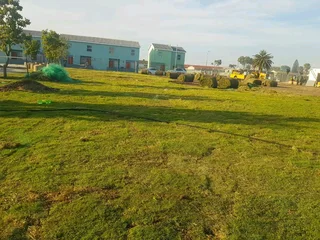 WE SUPPLY KIKUYU GRASS BUFFALO GRASS LM BEREA GRASS AND CYNODON