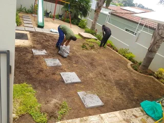 WE SUPPLY KIKUYU GRASS BUFFALO GRASS LM BEREA GRASS AND CYNODON