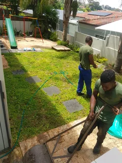 WE SUPPLY KIKUYU GRASS BUFFALO GRASS LM BEREA GRASS AND CYNODON