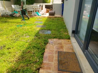 WE SUPPLY KIKUYU GRASS BUFFALO GRASS LM BEREA GRASS AND CYNODON