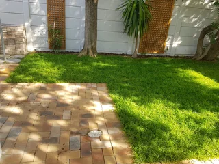 WE SUPPLY KIKUYU GRASS BUFFALO GRASS LM BEREA GRASS AND CYNODON GRASS