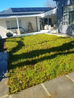 WE SUPPLY KIKUYU GRASS BUFFALO GRASS LM BEREA GRASS AND CYNODON GRASS