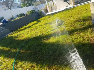 WE SUPPLY KIKUYU GRASS BUFFALO GRASS LM BEREA GRASS AND CYNODON GRASS