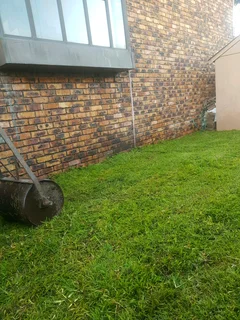 WE SUPPLY KIKUYU GRASS BUFFALO GRASS LM BEREA GRASS AND CYNODON GRASS