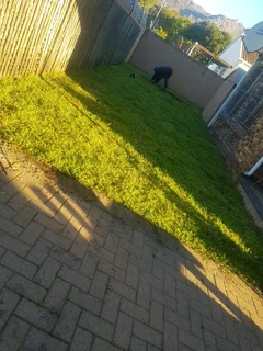 WE SUPPLY KIKUYU GRASS BUFFALO GRASS LM BEREA GRASS AND CYNODON GRASS