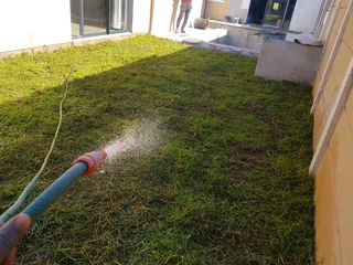 WE SUPPLY KIKUYU GRASS BUFFALO GRASS LM BEREA GRASS AND CYNODON GRASS