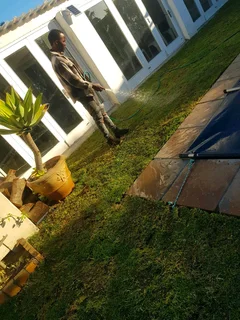 We supply kikuyu grass buffalo grass Lm berea grass and cynodon grass