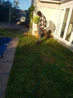 We supply kikuyu grass buffalo grass Lm berea grass and cynodon grass