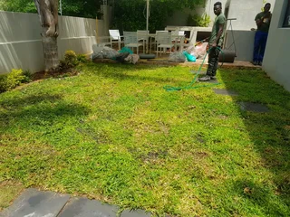 We supply kikuyu grass buffalo grass Lm berea grass and cynodon grass