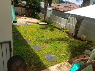 We supply kikuyu grass buffalo grass Lm berea grass and cynodon grass