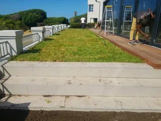 We supply kikuyu grass buffalo grass Lm berea grass and cynodon grass