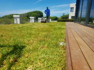 We supply kikuyu grass buffalo grass Lm berea grass and cynodon grass