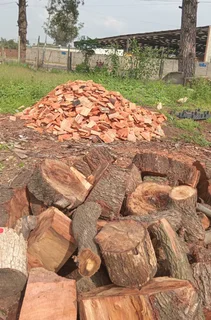 Tree felling and gardening  services