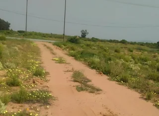 Vacant Erf for auction in Graafwater