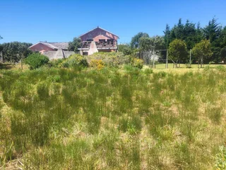 Vacant Erf for auction in Bettys Bay