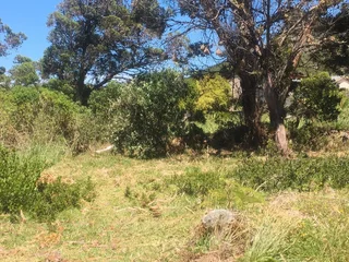 Vacant Erf for auction in Bettys Bay