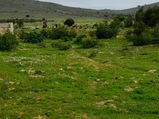 991m2 Scenic Vacant Plot.