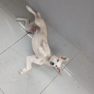 Slog - Ad posted by Phila Dumakude