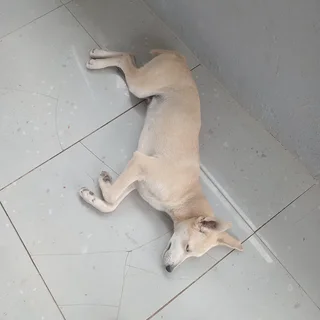 Slog - Ad posted by Phila Dumakude