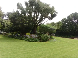 Super Gardener  Is Looking  For  Job.