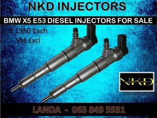 Bmw X5 E53 Injectors