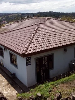 Roof Cleaningz and paintings