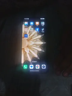 Black Honor Magic v2 R10000