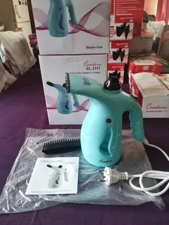 Steam Iron