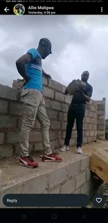 Building and maintain property