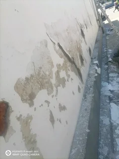 FRANK TRUSTWORTHY PAINING AND SKIMMING /