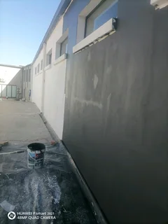 FRANK TRUSTWORTHY PAINING AND SKIMMING /