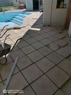 FRANK TRUSTWORTHY PAINING AND SKIMMING /