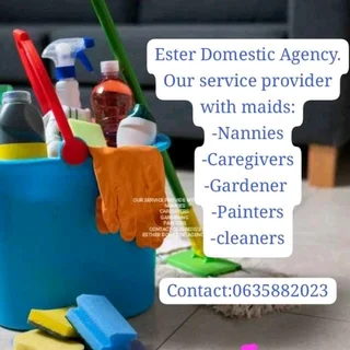 Hi,everyone, lm just reminding u that if u need help l may help with nannies ,maids and Caregivers