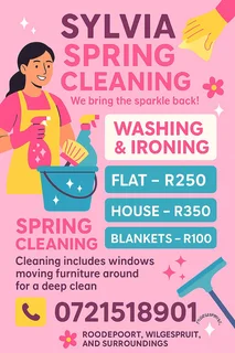 Cleaning service