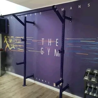 Wallmountedheavy-duty squat rack set up