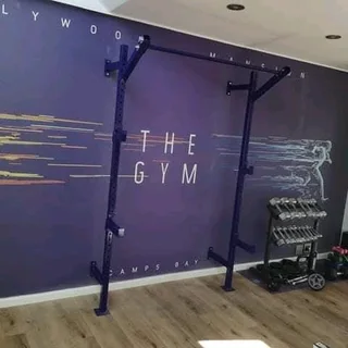 Superior wallmounted heavy-duty squat rack set up