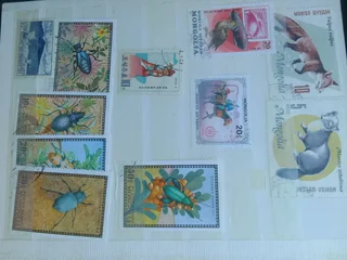 Vintage stamp collection