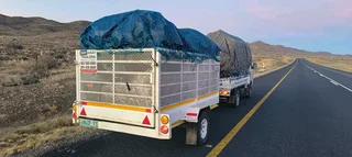 CDS LOGISTICS BLOEMFONTEIN