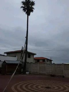 A&amp;j Tree Felling