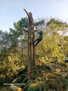 A&amp;J TREE FELLING AND GARDEN SERVICES