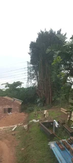 A&j Tree Felling And Garden Services